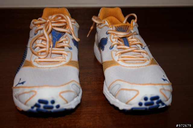 [分享]PUMA COMPLETESLX FUGA RC風牙