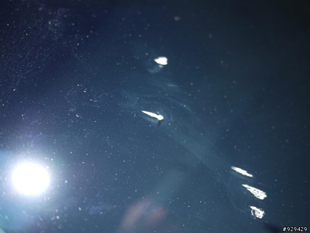 請問大蟒擋風玻璃這樣的狀況，需要整片換掉嗎?