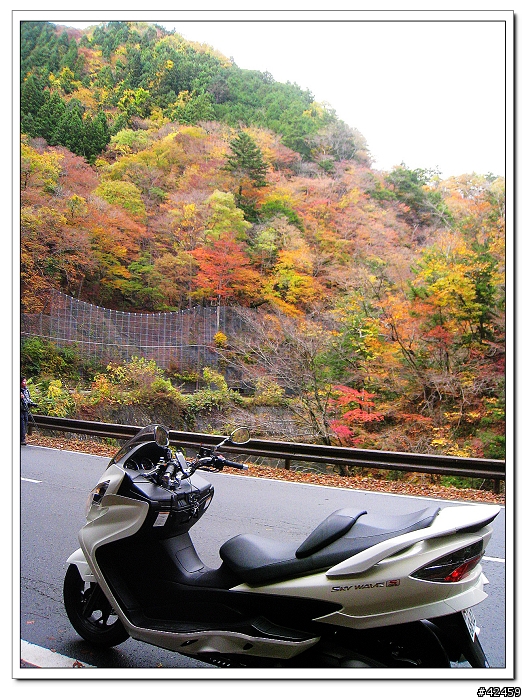 [SKYWAVE TYPE-S]奥秩父中津峡紅葉之旅