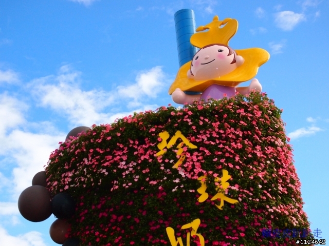 2011年新社花海開始了
