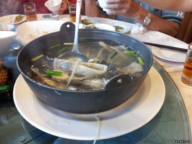 我的蔣大日記