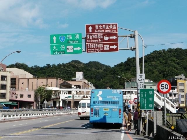 走吧 今天去瑞雙公路看貓去