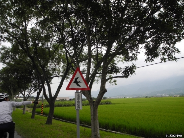 環島之自行車一級天堂