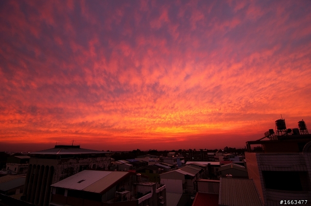 11月27日又燒起來了...