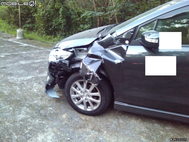 出遊遇見馬5撞對向車