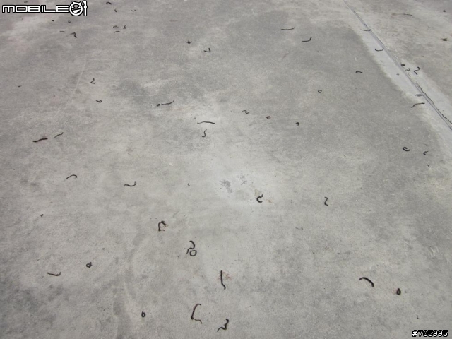 敗犬環島黑白走100.10.24-10.31 DAY3