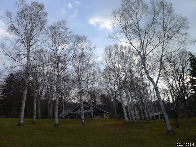 [遊記]2011員工旅遊11/10~11/14日本北海道5日遊