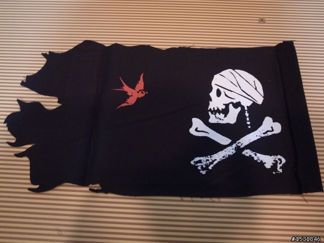 HOT TOYS DX06 JACK SPARROW開箱(多圖 請注意)