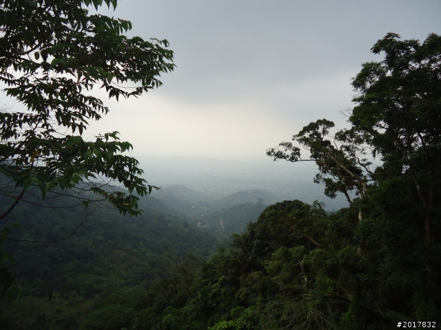 11/3南瀛之旅(東山孚佑宮崁頭山)