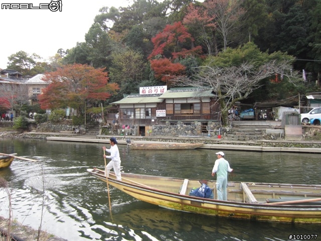 京都--嵐山 紅葉(楓葉)