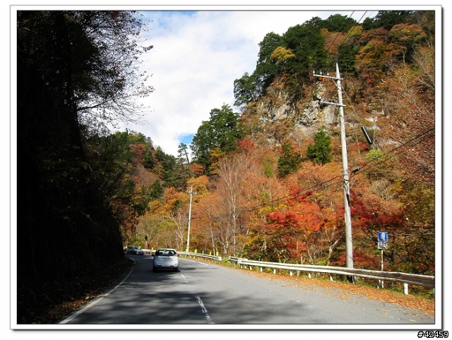 [SKYWAVE TYPE-S]奥秩父中津峡紅葉之旅
