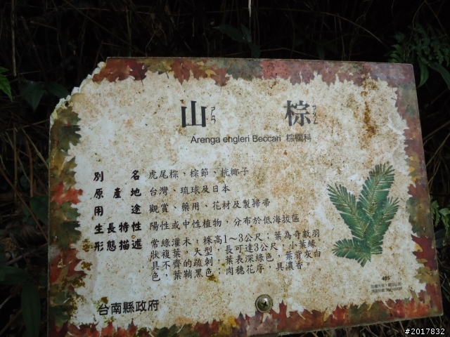 11/28悠遊台南第一高峰關仔嶺大棟山