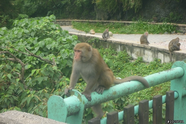 2011/11/12-15 圓夢計劃繞島行 Day 2 花蓮→屏東