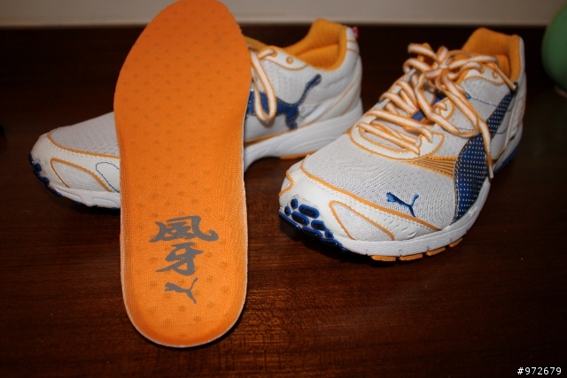 [分享]PUMA COMPLETESLX FUGA RC風牙