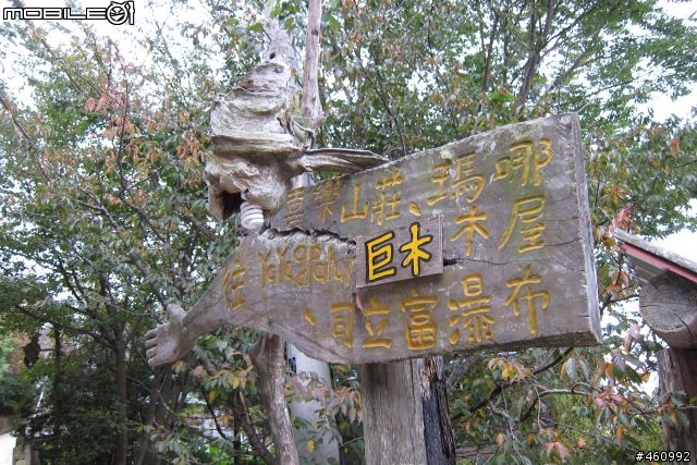 司馬庫斯之氣血循環機行....