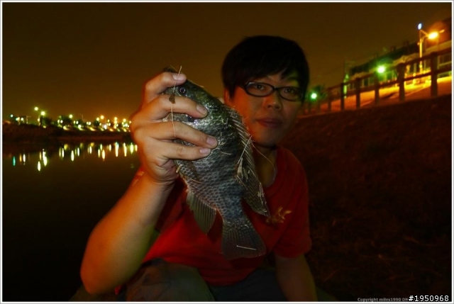 後勁溪亂搞搞 不知名鰻魚請求大師解惑