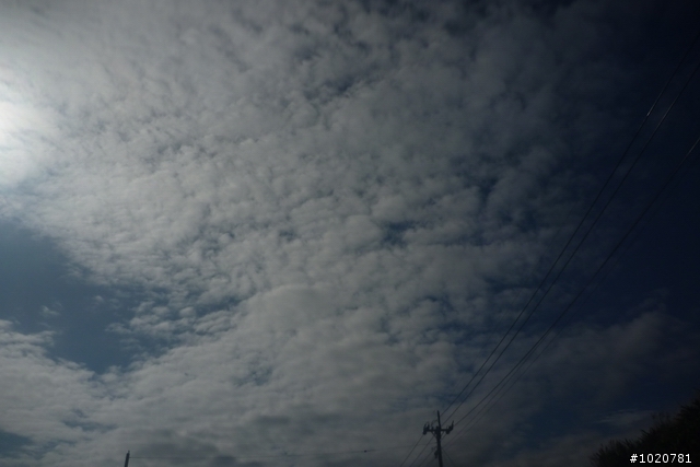 2011/11/12-15 圓夢計劃繞島行 Day 2 花蓮→屏東