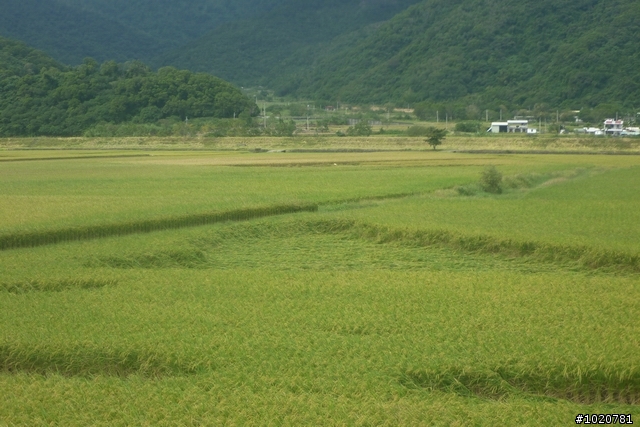 2011/11/12-15 圓夢計劃繞島行 Day 2 花蓮→屏東