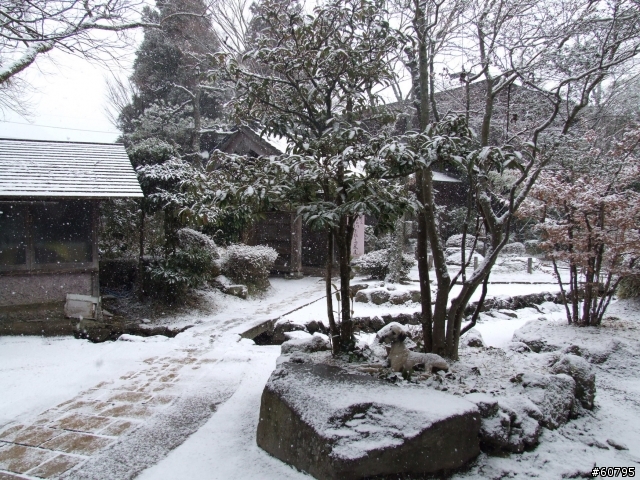 請問日本九州二月份會下雪嗎 Mobile01