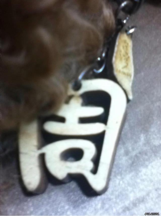 [已尋回，謝謝!!]請幫愛吃膽小親人中型年輕母紅貴賓(胸前的木頭牌子是個"周"字，還有一個小的台灣地圖)回家