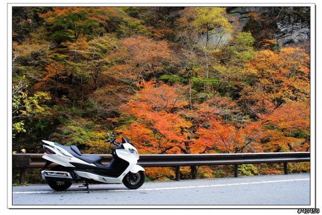 [SKYWAVE TYPE-S]奥秩父中津峡紅葉之旅