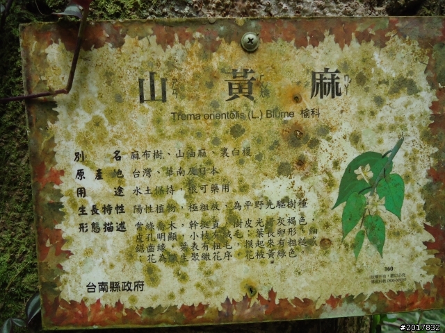 11/28悠遊台南第一高峰關仔嶺大棟山