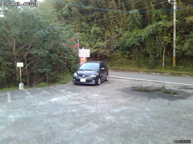 出遊遇見馬5撞對向車