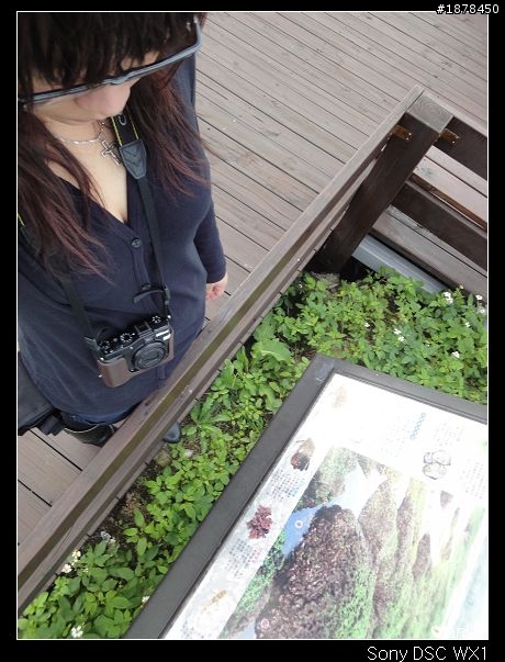 【來去吹吹風】麟山鼻遊憩區