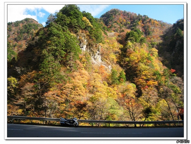 [SKYWAVE TYPE-S]奥秩父中津峡紅葉之旅