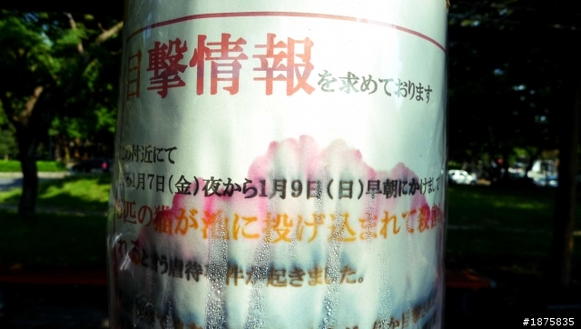 2011 日本鈴鹿F1賽&名古屋漫遊行(Canon 450D+18-55kit +小白一隻)