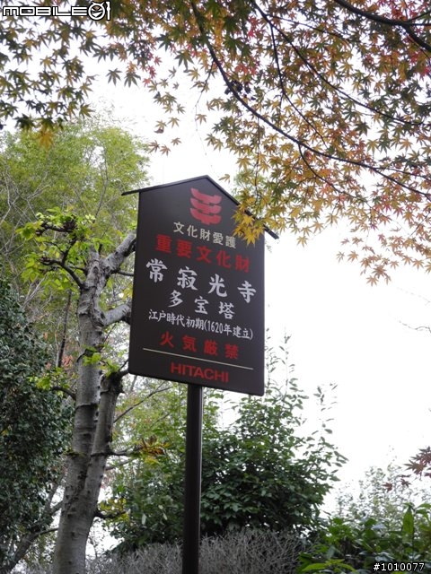 京都--嵐山 紅葉(楓葉)