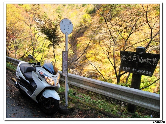 [SKYWAVE TYPE-S]奥秩父中津峡紅葉之旅