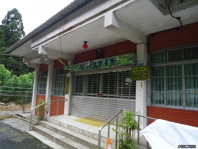 11/6阿里山之戀(登奮起湖大凍山及隙頂二延平步道)
