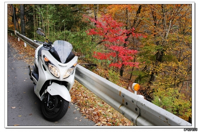 [SKYWAVE TYPE-S]奥秩父中津峡紅葉之旅