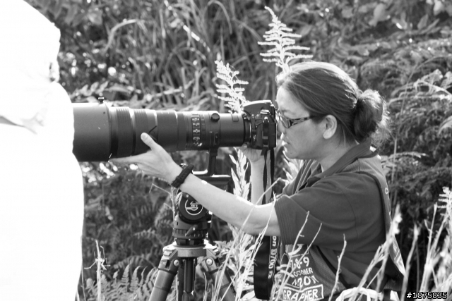 2011 日本鈴鹿F1賽&名古屋漫遊行(Canon 450D+18-55kit +小白一隻)