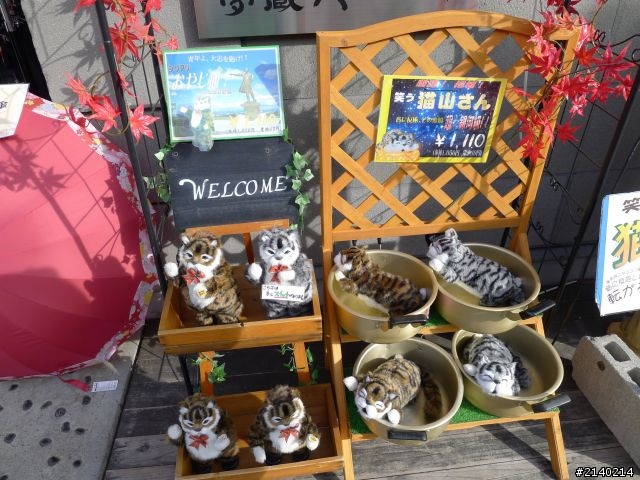 [遊記]2011員工旅遊11/10~11/14日本北海道5日遊