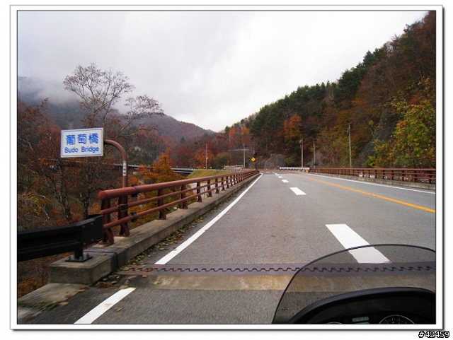 [SKYWAVE TYPE-S]奥秩父中津峡紅葉之旅