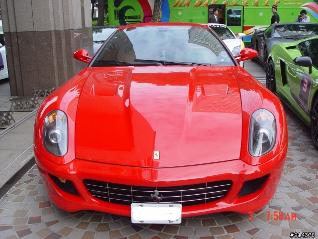 一群蠻牛加一匹馬