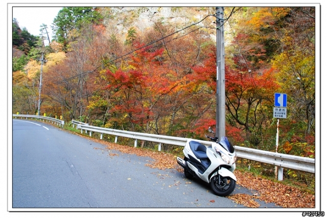 [SKYWAVE TYPE-S]奥秩父中津峡紅葉之旅
