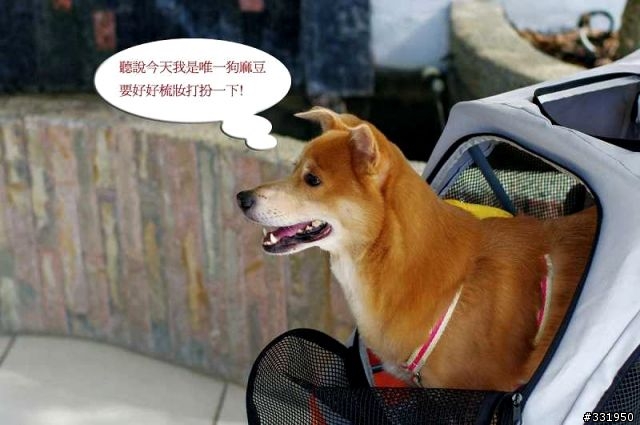 SAMSUNG GALAXY Note 攝影人之新竹體驗會