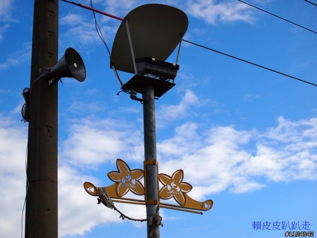 2011年新社花海開始了