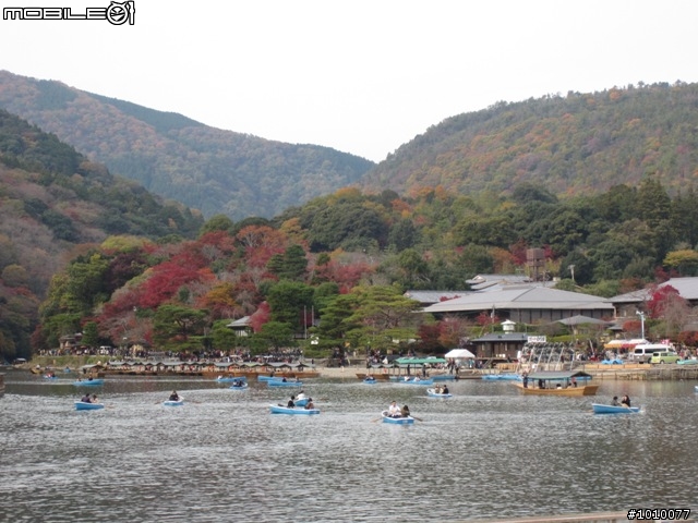 京都--嵐山 紅葉(楓葉)