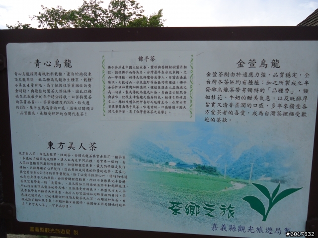 11/6阿里山之戀(登奮起湖大凍山及隙頂二延平步道)