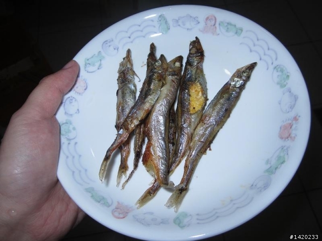 我的飛利浦氣炸鍋..第二本..冷凍雞腿+清洗過程