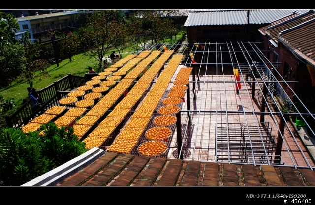 [小分享]新竹新埔一日遊