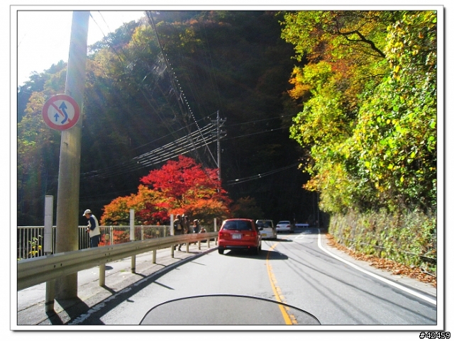 [SKYWAVE TYPE-S]奥秩父中津峡紅葉之旅