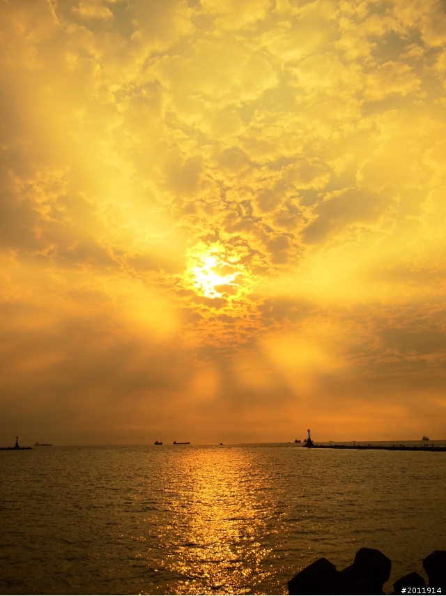 菜鳥頭一貼之今天西子灣爺爺的笑容