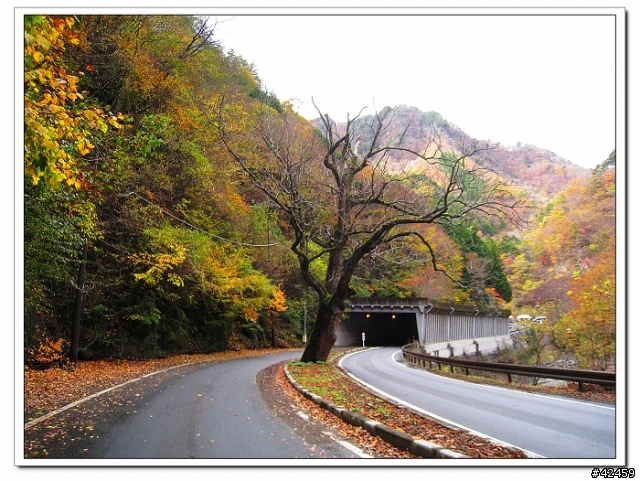 [SKYWAVE TYPE-S]奥秩父中津峡紅葉之旅