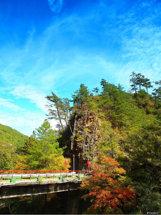 秋楓到冬楓...2011/11/06武陵and福壽山,11/12石門水庫,11/27武陵and福壽山~2012/01/01桃源仙谷,01/08尖石秀巒