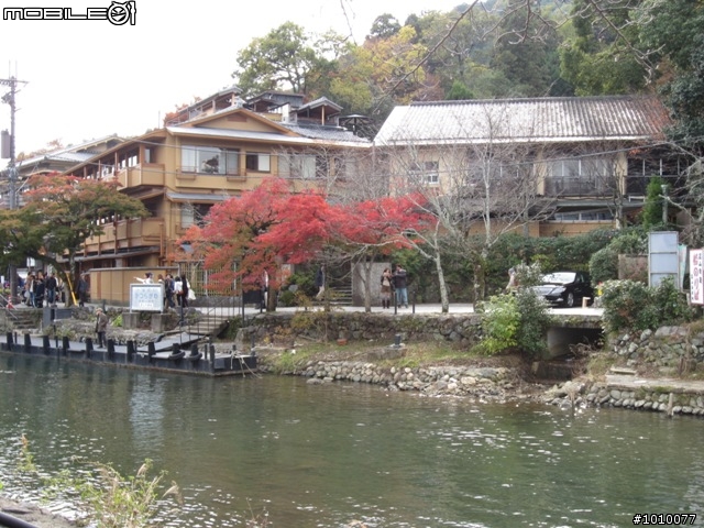 京都--嵐山 紅葉(楓葉)